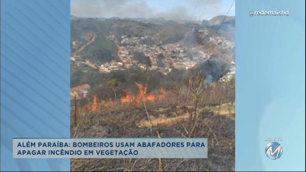 Além Paraíba: bombeiros usam abafadores para apagar incêndio em vegetação