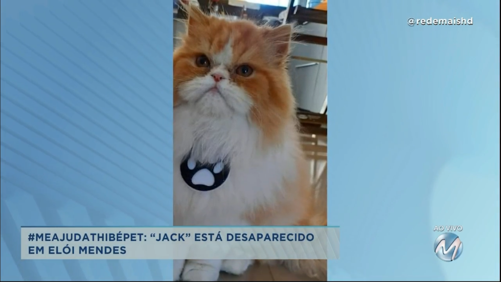 #meajudathibépet: “Jack” está desaparecido em Elói Mendes
