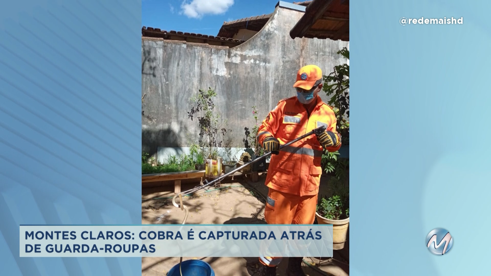 Montes Claros: cobra é capturada atrás de guarda-roupas