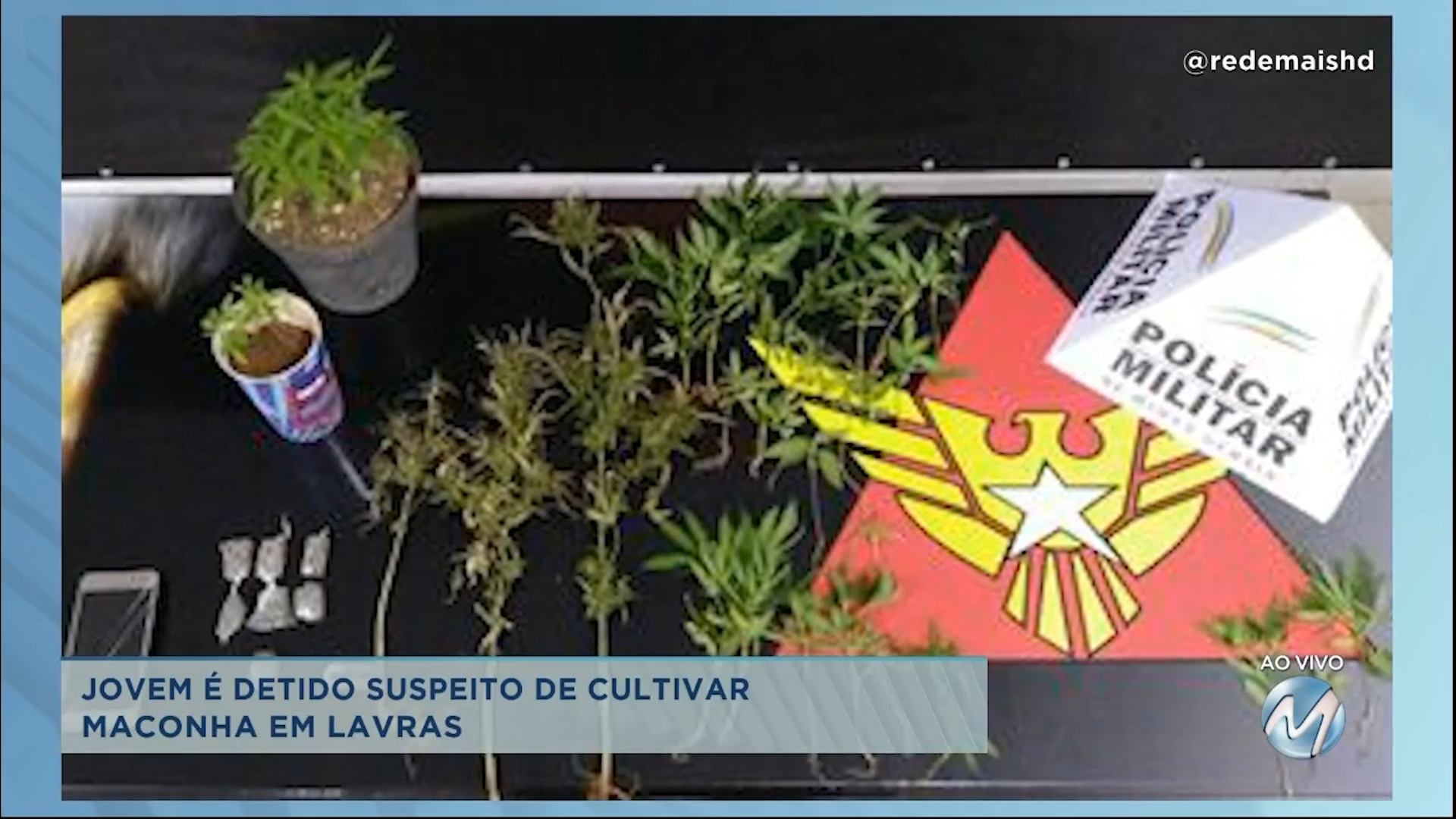 Lavras: drogas são encontradas em mata no bairro Olaria