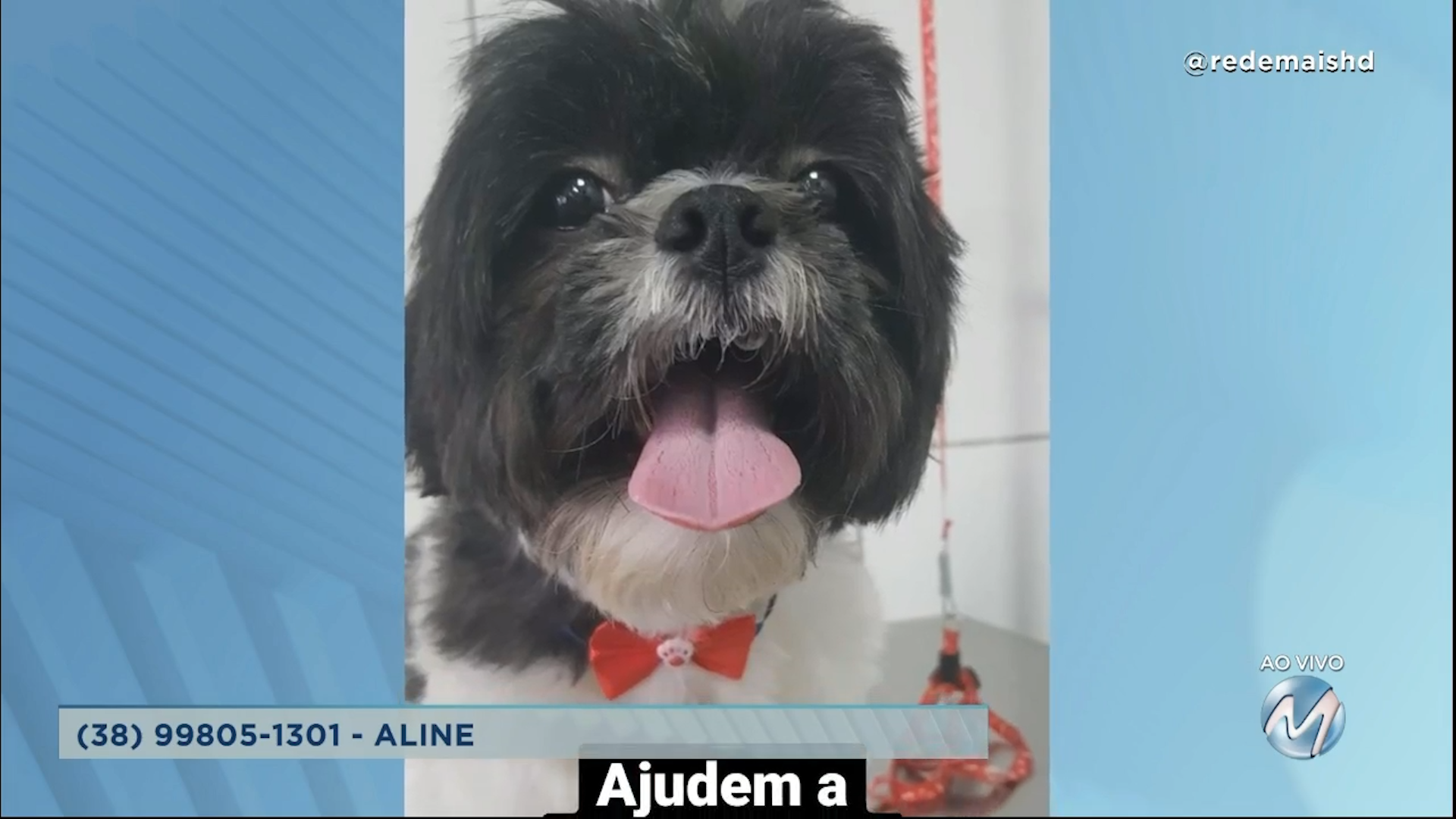 #meajudathibépet: “Luck” está desaparecido em Montes Claros