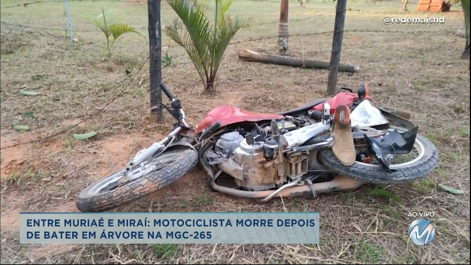 Motociclista morre depois de bater em árvore na MGC-265