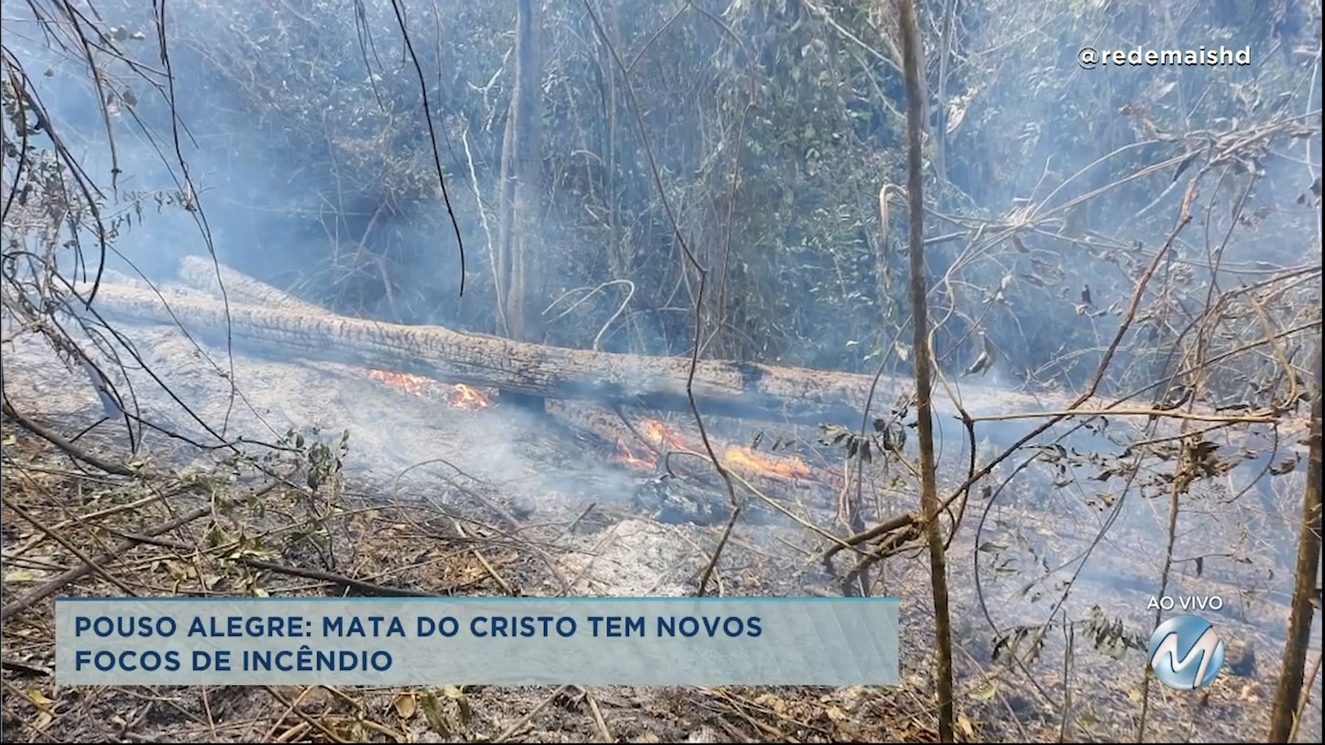 Pouso Alegre: mata do Cristo tem novos focos de incêndio