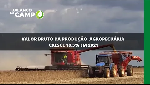 Valor da bruto da produção agropecuária cresce 10,5% em 2021