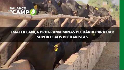 Emater lança programa Minas Pecuária para dar suporte aos pecuaristas