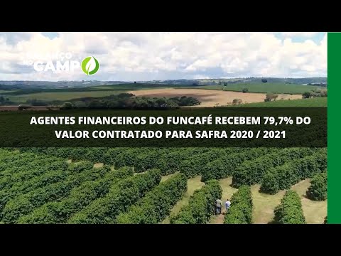 Agentes financeiros do Funcafé recebem 79,7% do valor contratado para safra 2020/2021