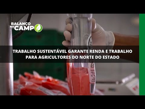 Trabalho sustentável garante renda e trabalho para agricultores do norte do estado