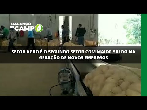 Setor agro é o segundo setor com maior saldo na geração de novos empregos