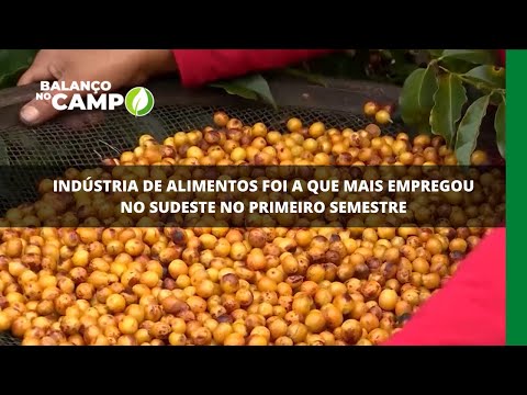 Indústria de alimentos foi a que mais empregou no sudeste no primeiro semestre