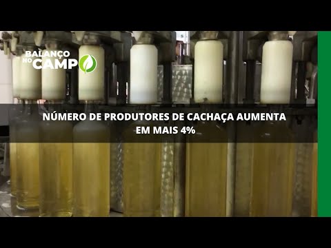 Número de produtores de cachaça aumenta em mais 4%