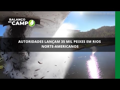 Autoridades lançam 35 mil peixes em rios norte-americanos