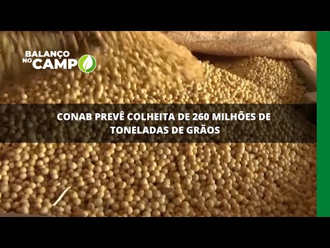 Conab prevê colheita de 260 milhões de toneladas de grãos