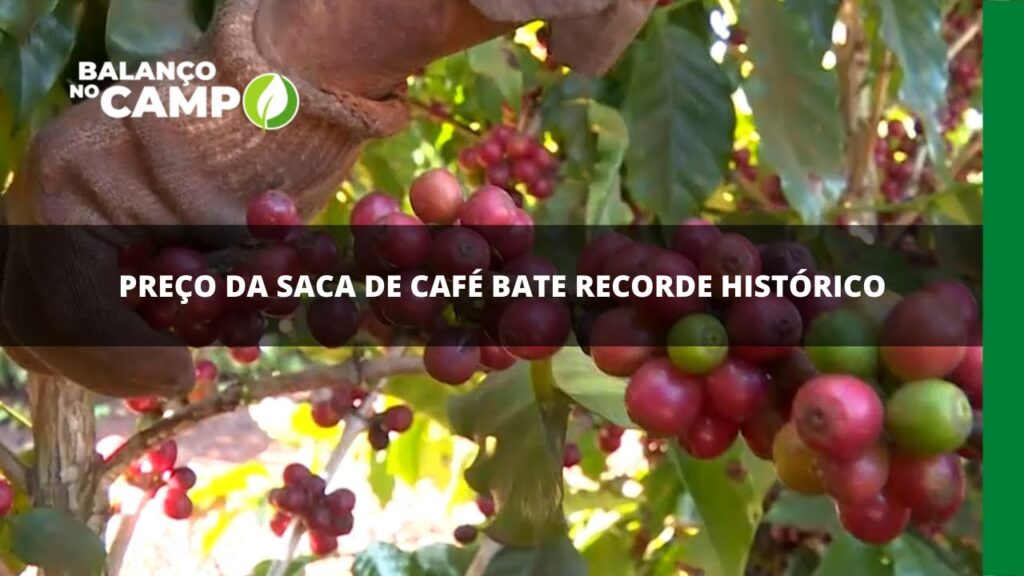 Preço da saca de café bate recorde histórico