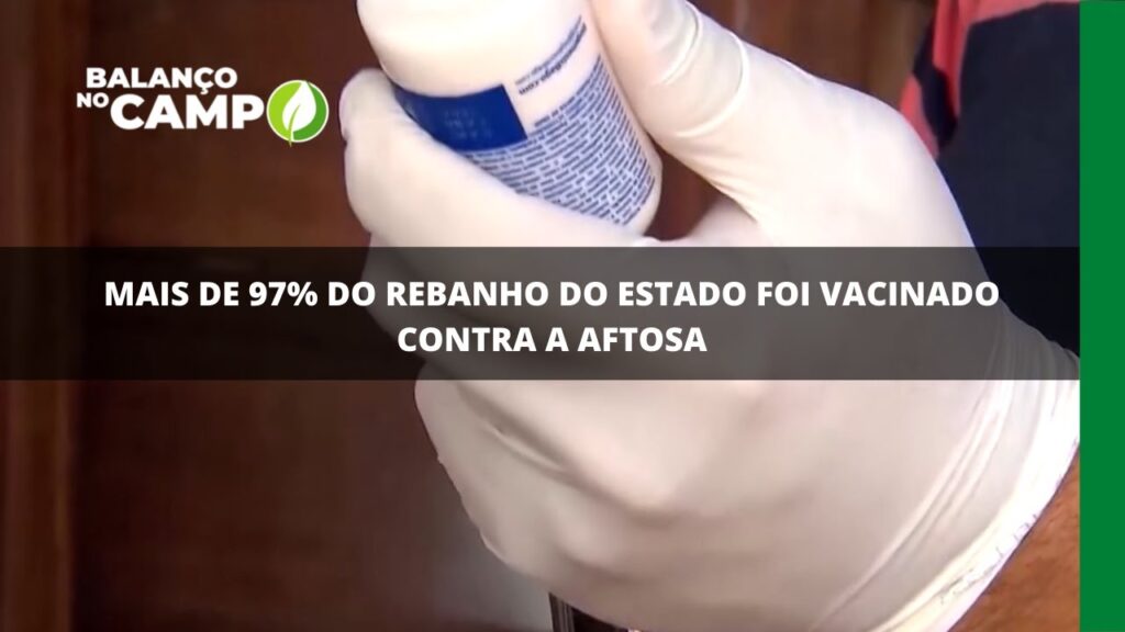 Mais de 97% do rebanho do estado foi vacinado contra a aftosa