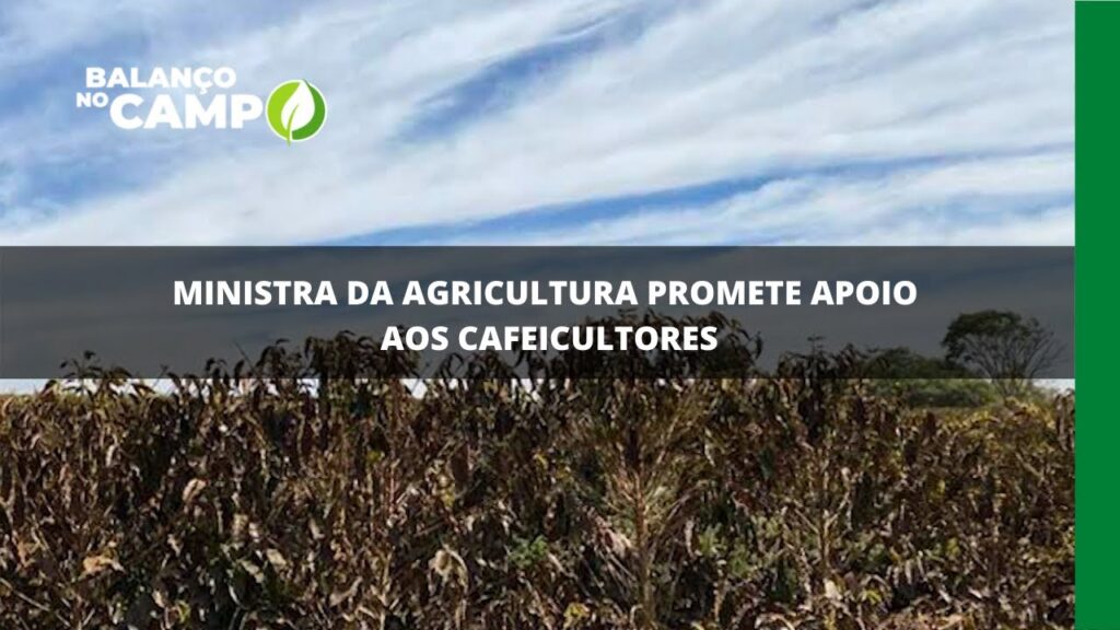 Ministra da agricultura promete apoio aos cafeicultores