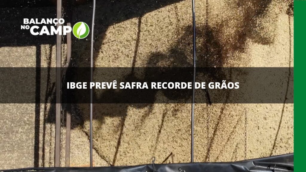 IBGE prevê safra recorde de grãos