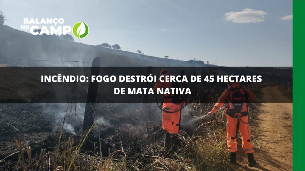 Incêndio: fogo destrói cerca de 45 hectares de mata nativa