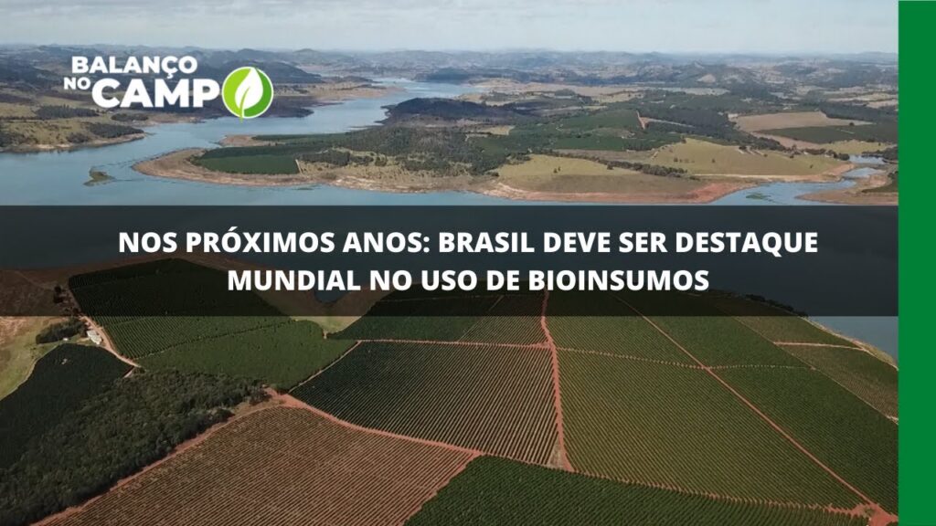 Nos próximos anos: Brasil deve ser destaque mundial no uso de bioinsumos