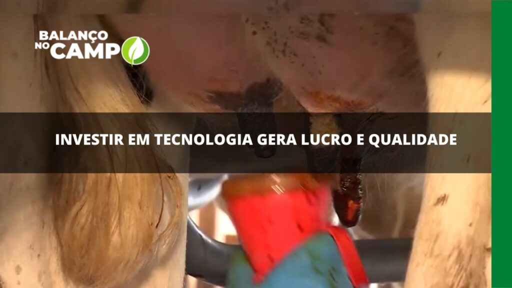 Investir em tecnologia gera lucro e qualidade