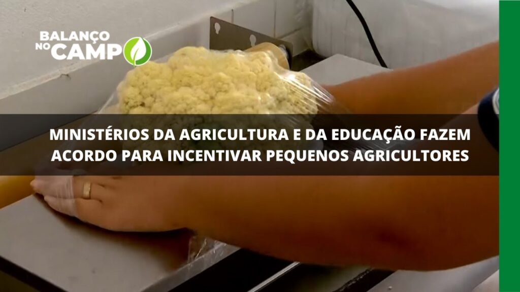 Ministérios da Agricultura e da Educação fazem acordo para incentivar pequenos agricultores