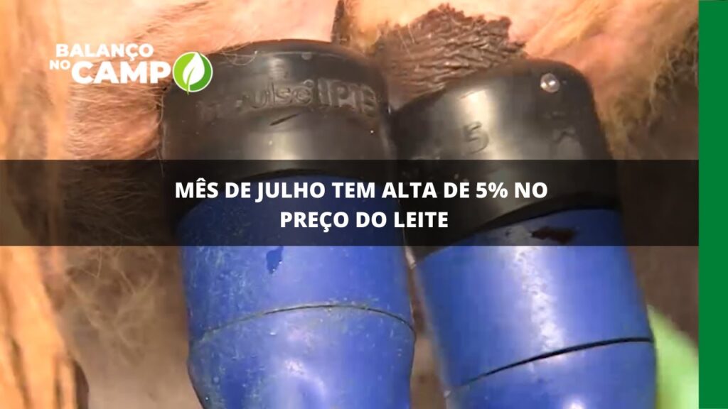 Mês de julho tem alta de 5% no preço do leite