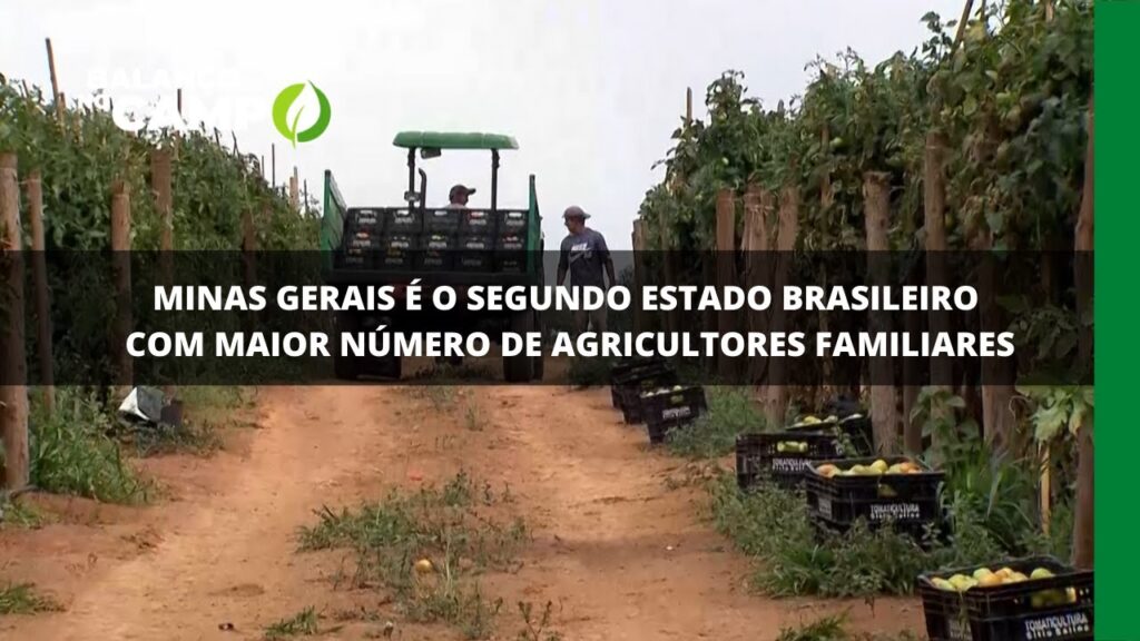 Minas Gerais é o segundo estado brasileiro com maior número de agricultores familiares