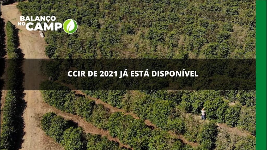 CCIR de 2021 já está disponível