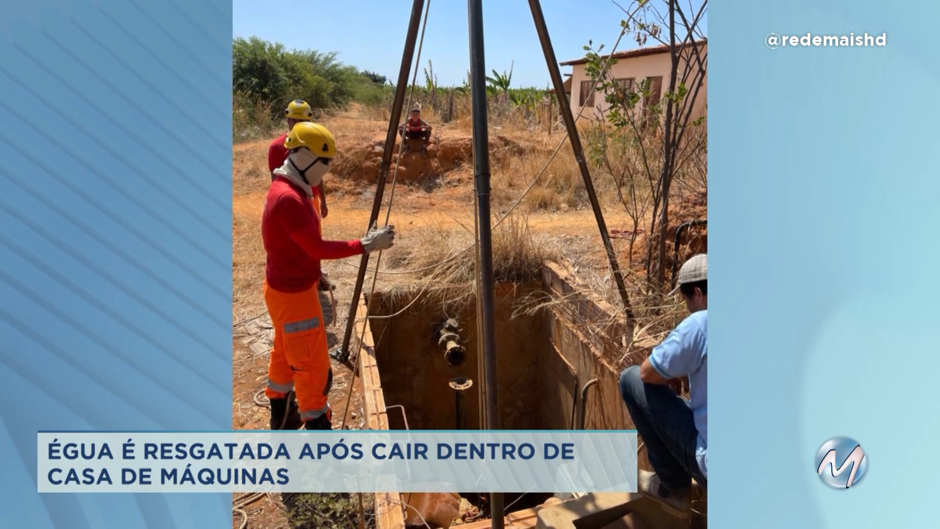 Jaíba: égua cai em casa de máquinas em comunidade rural