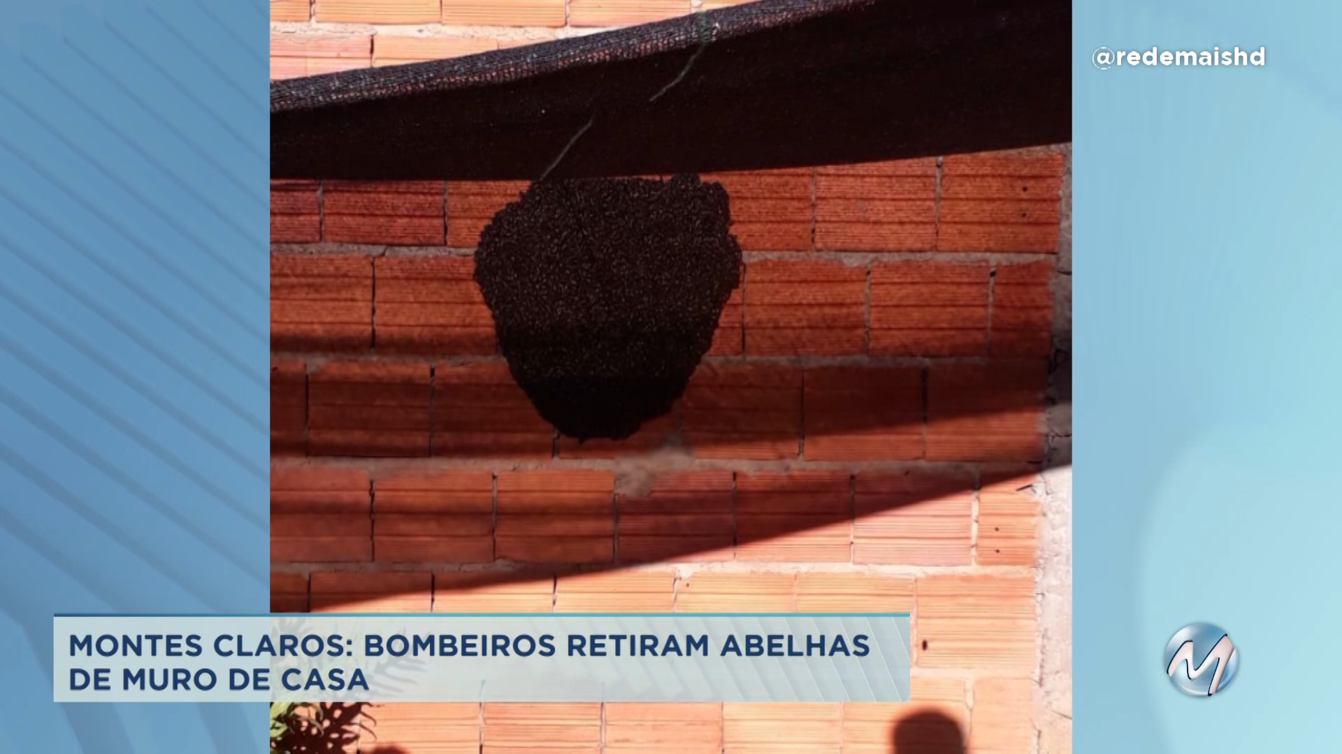 Montes Claros: bombeiros retiram abelhas de muro de casa