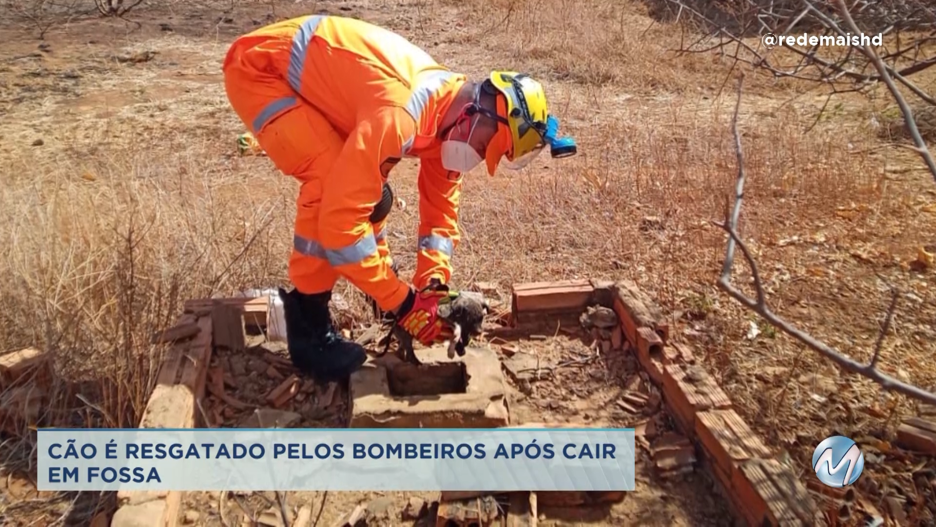 Janúba: cão cai em fossa e é resgatado pelos bombeiros
