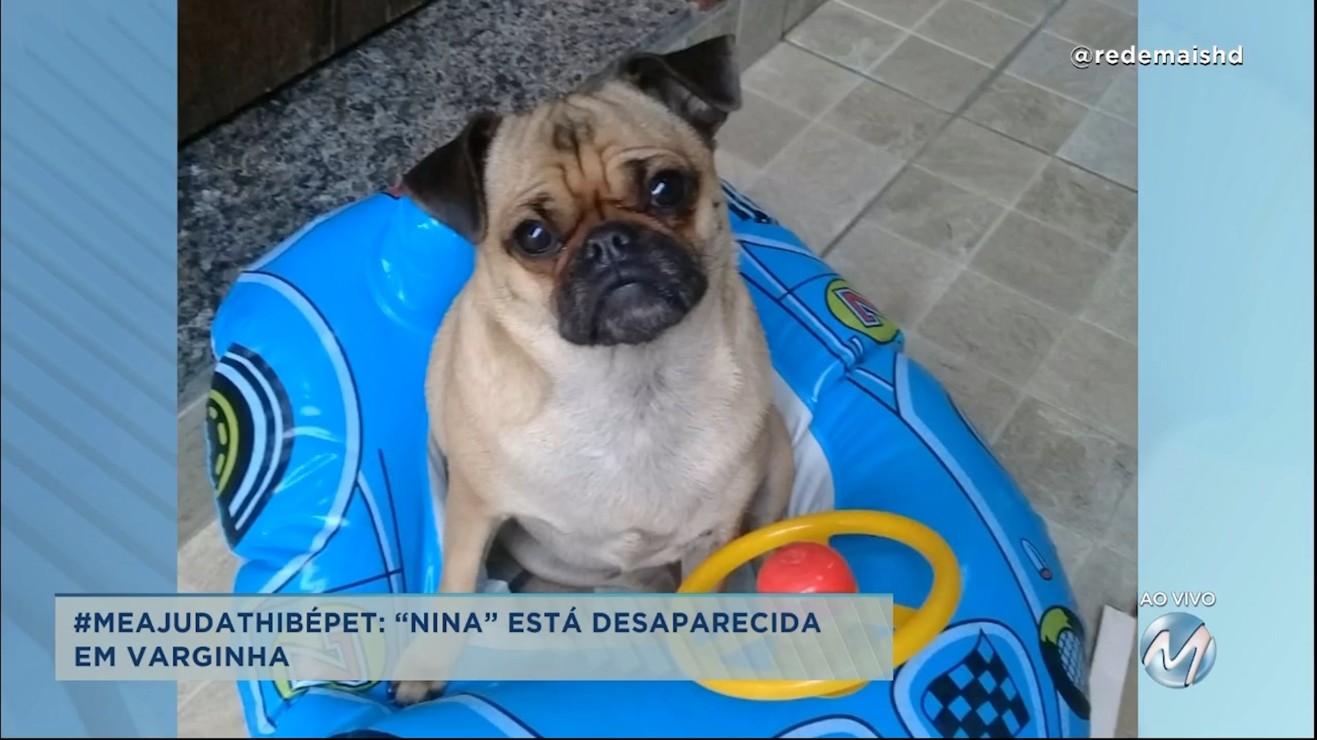 #meajudathibépet: “Nina” está desaparecida em Varginha