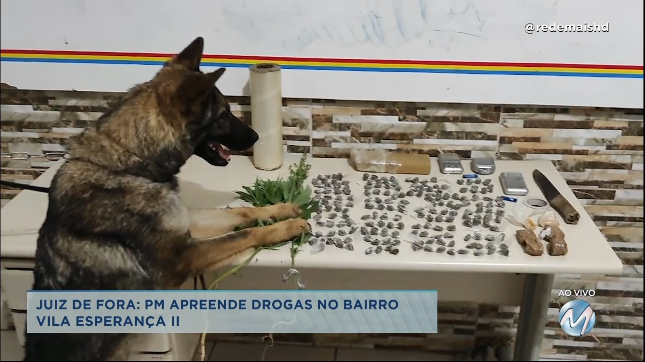 Juiz de Fora: PM apreende drogas no bairro Vila Esperança II