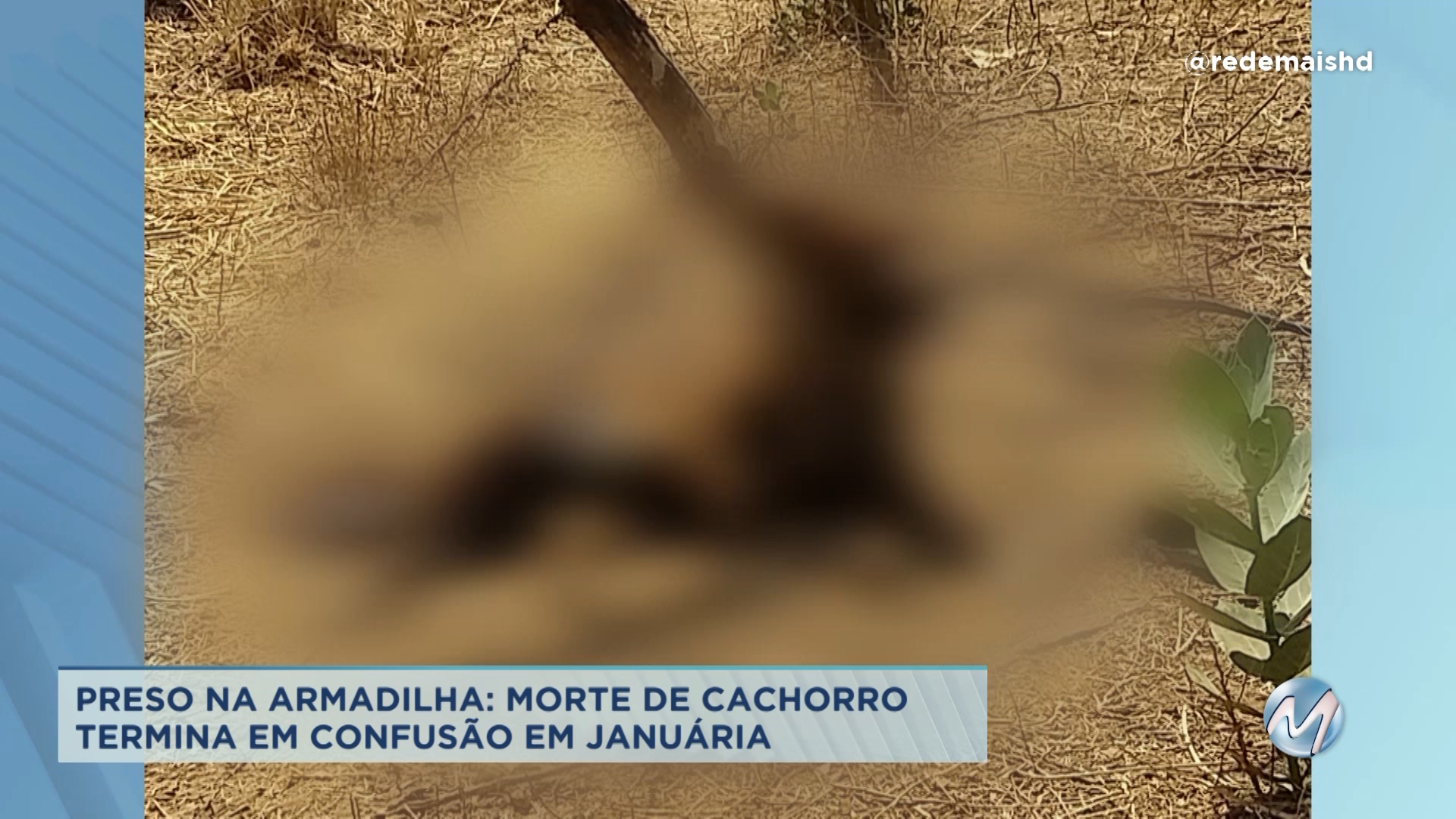 Janaúba: idoso é preso suspeito de criar armadilha para matar cachorro do vizinho