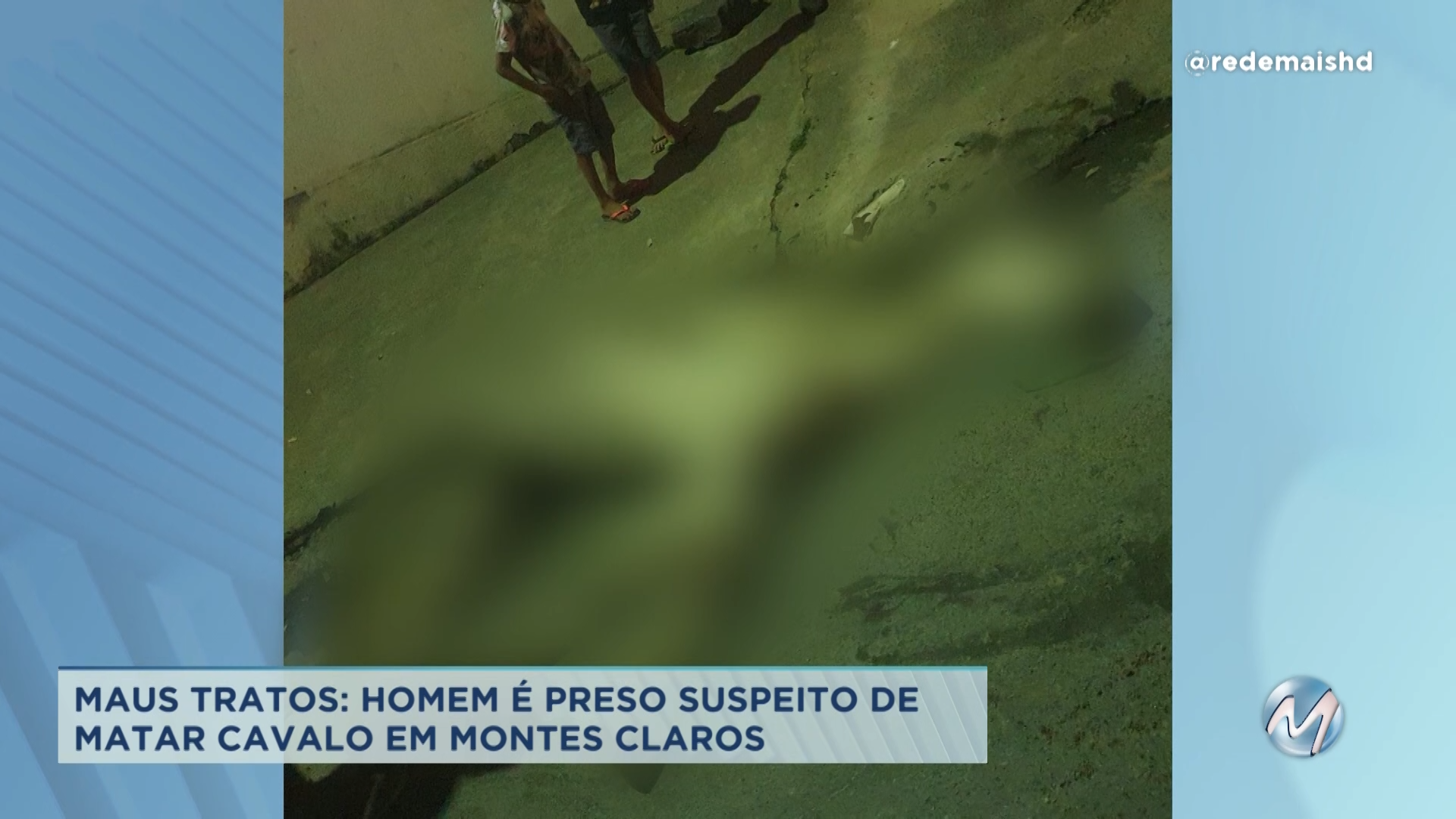 Maus-tratos no Norte de Minas: homem é preso suspeito de matar cavalo