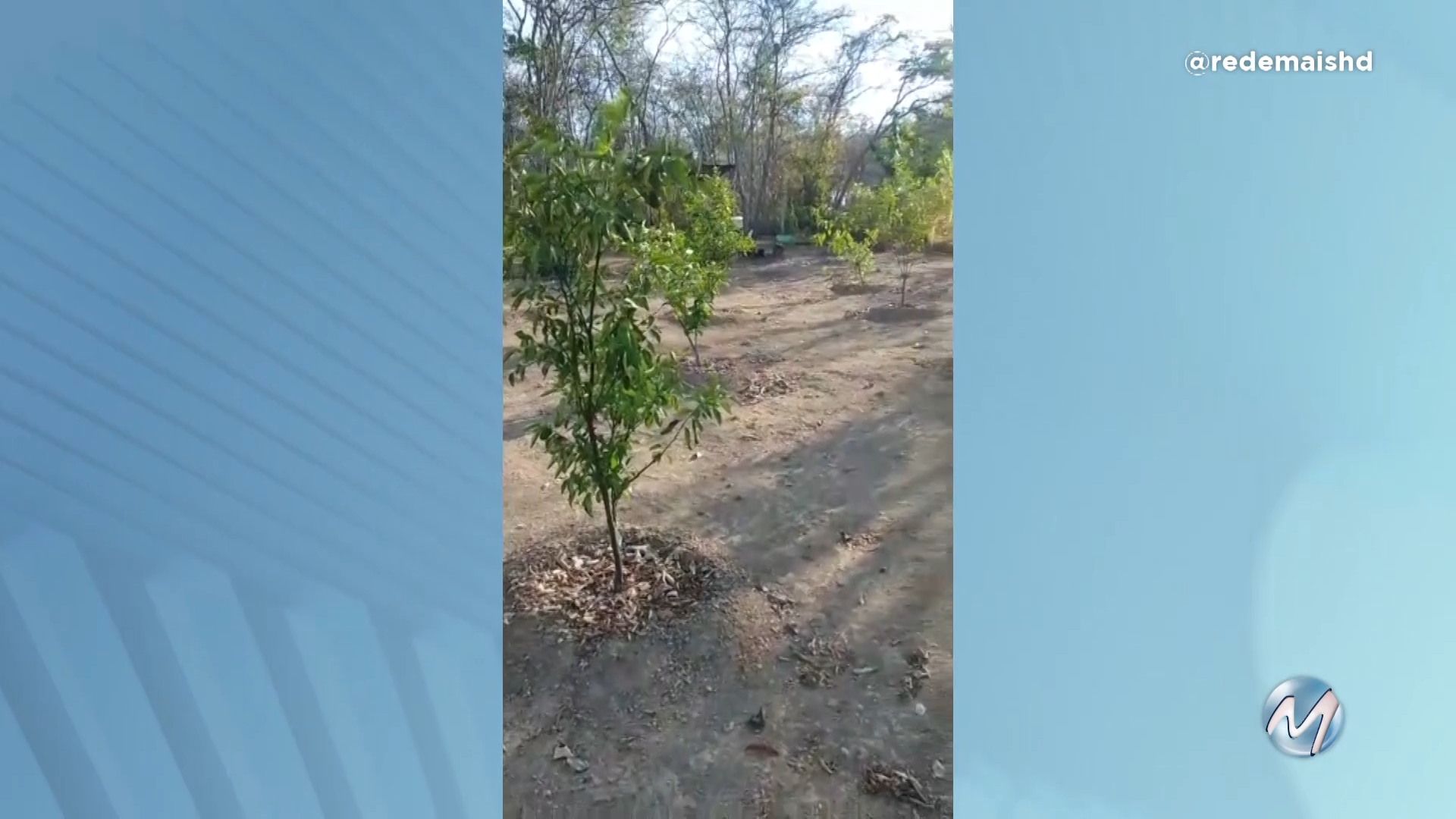 Donos de chácaras protestam contra empresa em Montes Claros