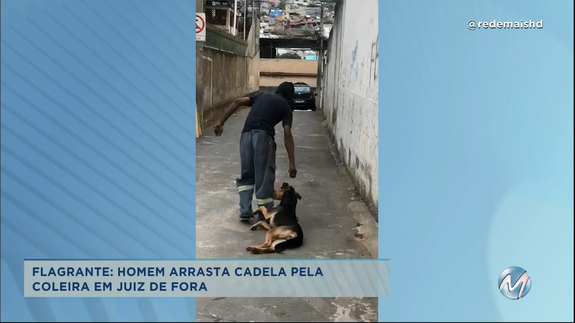 Flagrante de maus-tratos: homem arrasta cadela pela coleira em Juiz de Fora