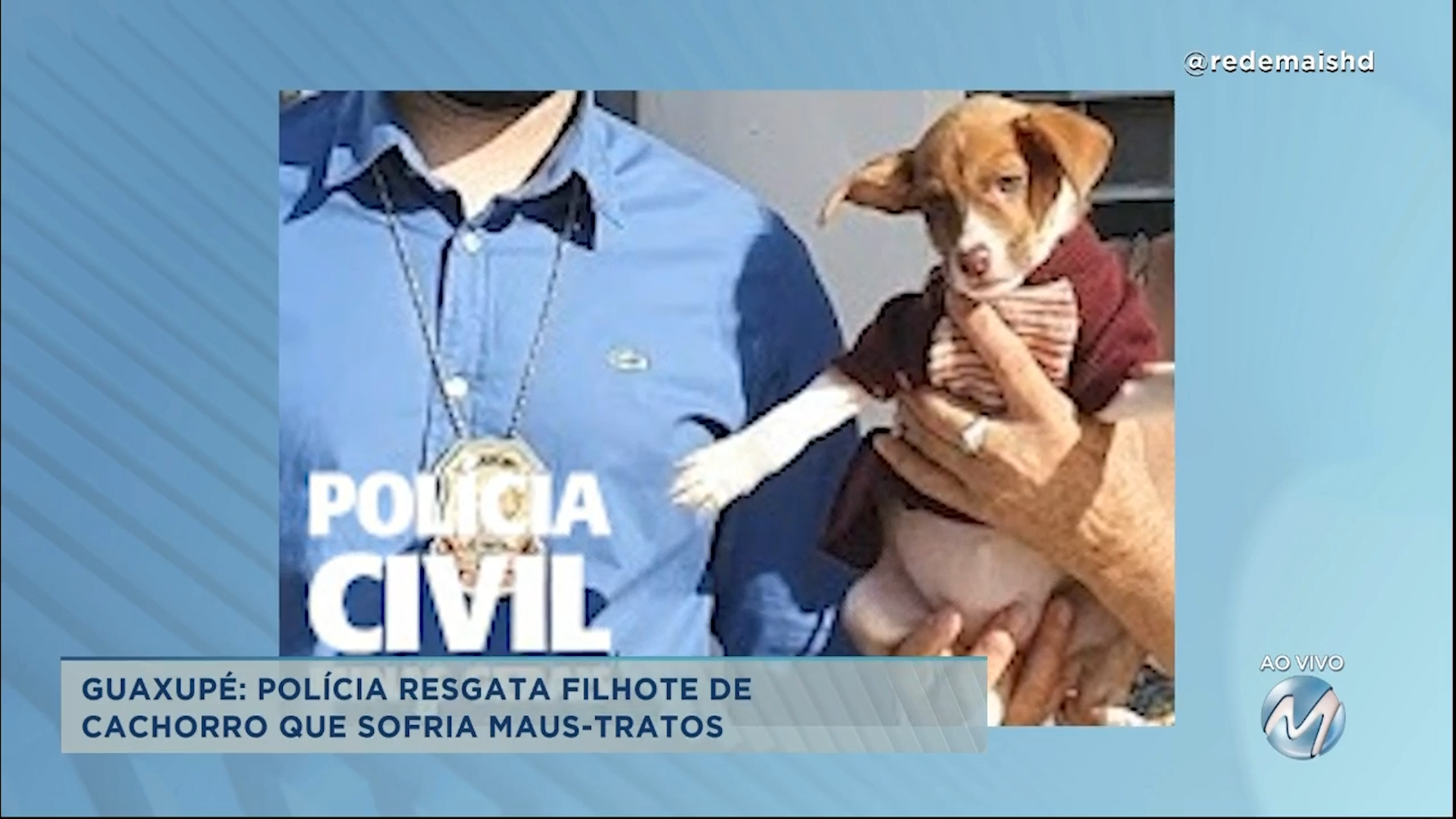Guaxupé: polícia resgata filhote de cachorro que sofria maus-tratos