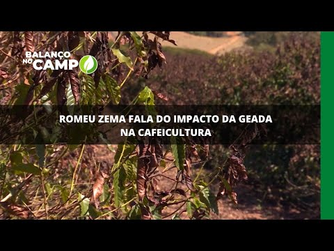 Romeu Zema fala do impacto da geada na cafeicultura