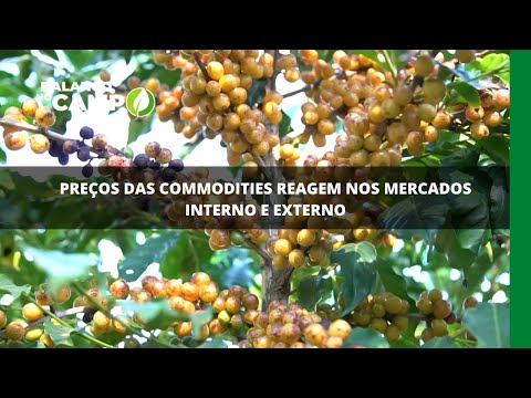 Preços das commodities reagem nos mercados interno e externo