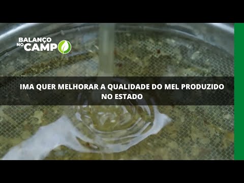 IMA quer melhorar a qualidade do mel produzido no estado