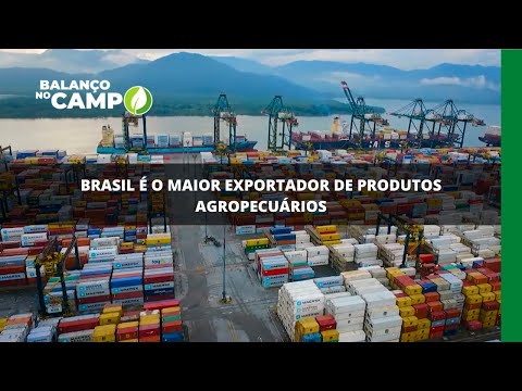 Brasil é o maior exportador de produtos agropecuários