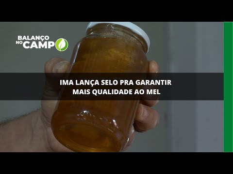 IMA lança selo pra garantir mais qualidade ao mel