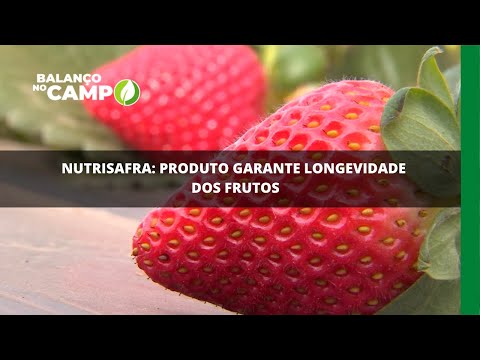 Nutrisafra: produto garante longevidade dos frutos