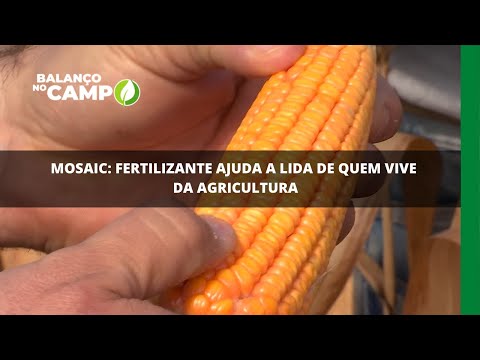 Mosaic: fertilizante ajuda a lida de quem vive da agricultura