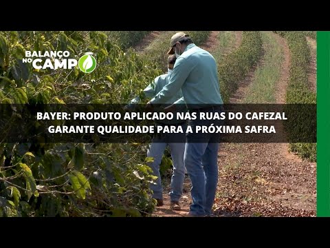 Bayer: produto aplicado nas ruas do cafezal garante qualidade para a próxima safra