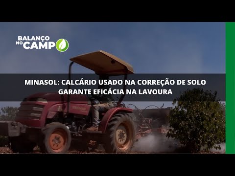 Minasol: calcário usado na correção de solo garante eficácia na lavoura