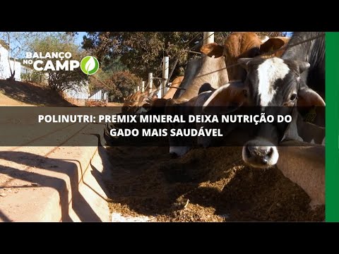 Polinutri: Premix Mineral deixa nutrição do gado mais saudável