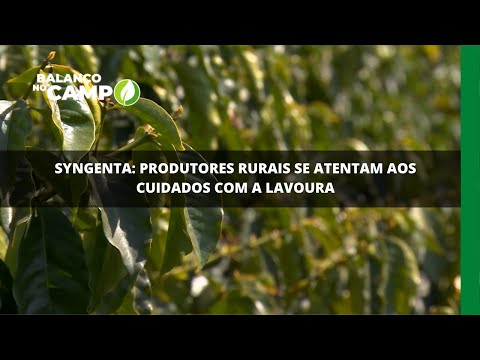 Syngenta: produtores rurais se atentam aos cuidados com a lavoura