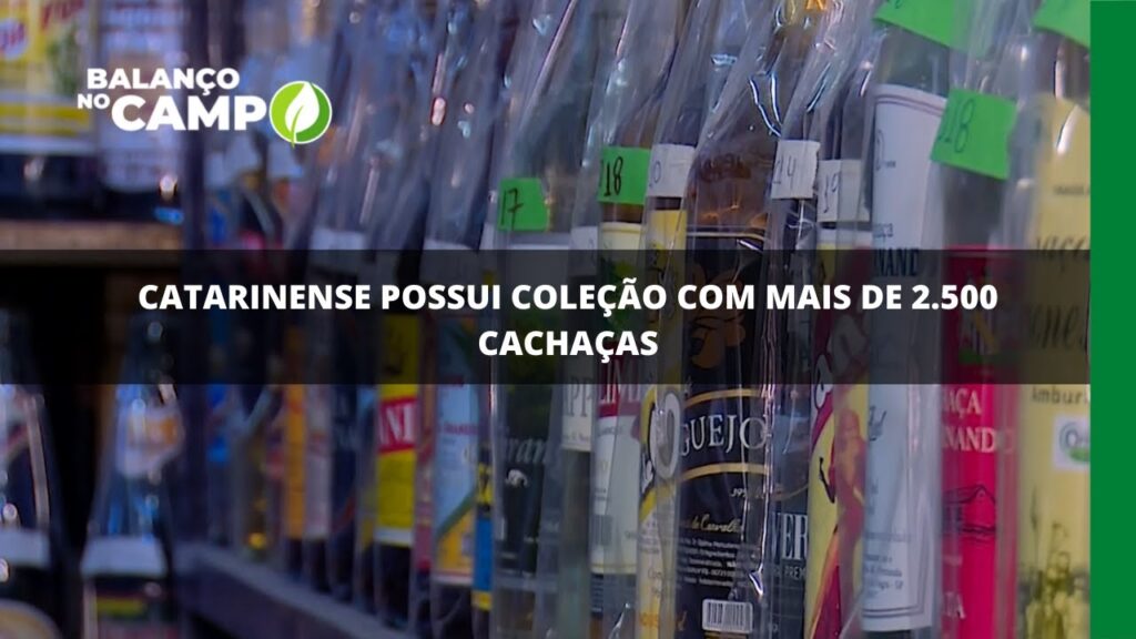 Catarinense possui coleção com mais de 2500 cachaças