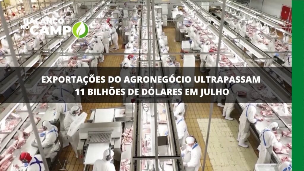 Exportações do agronegócio ultrapassam 11 bilhões de dólares em julho